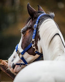 Fager Smart Halter Nylon Blue