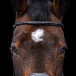 Stubben Bling For Browband Magic Tack Leather Stitched