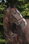 Snaffle Bridle 2300 Leitrim