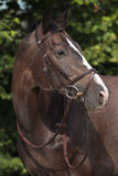 Snaffle Bridle 2300 Leitrim