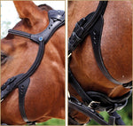 Snaffle Bridle 2500 Freedom bridle
