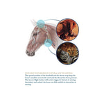 Snaffle Bridle 2500 Freedom bridle
