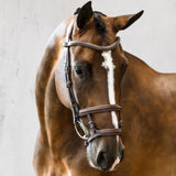 PS Of Sweden Paris Bridle